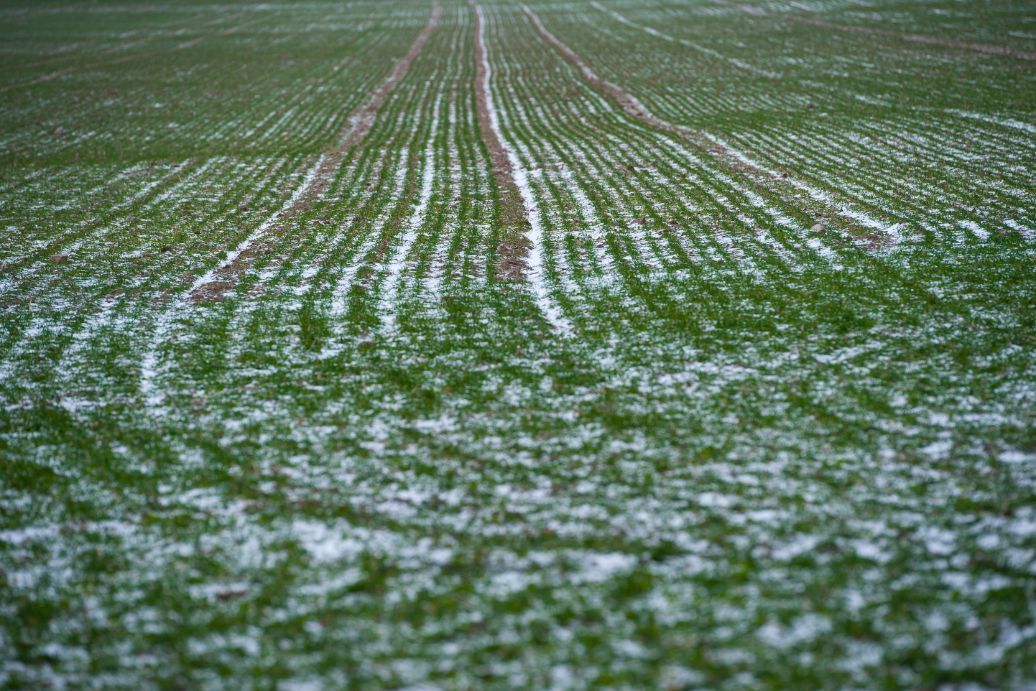 hiver agricole